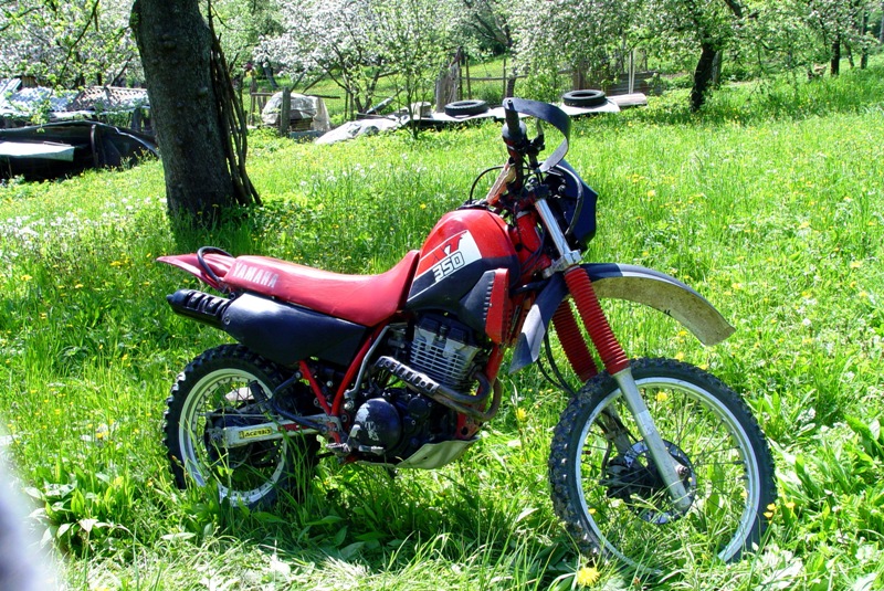 DSC02818